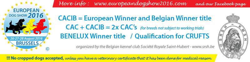 brussels-european-dog-show-2016