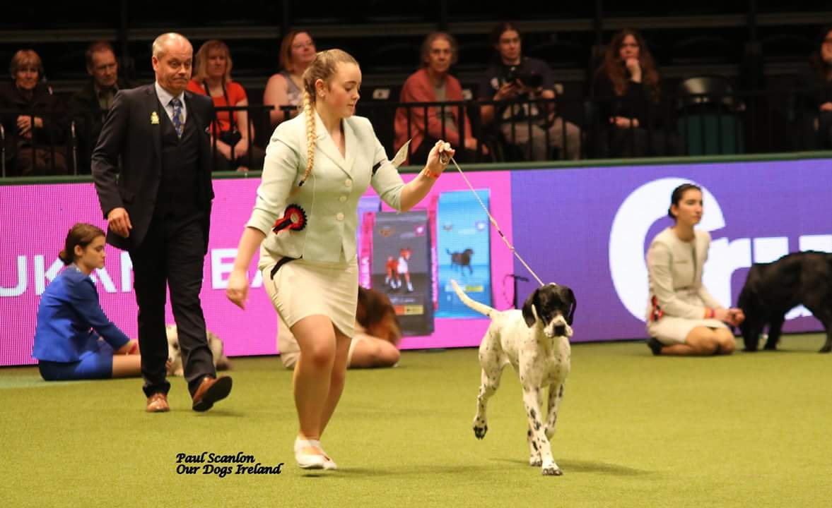 ultratron crufts acheivament ultratron crufts acheivament