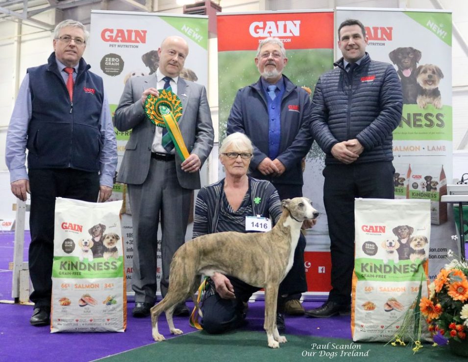 IKC Celtic Winners & St. Patrick’s Day FCI International Shows The