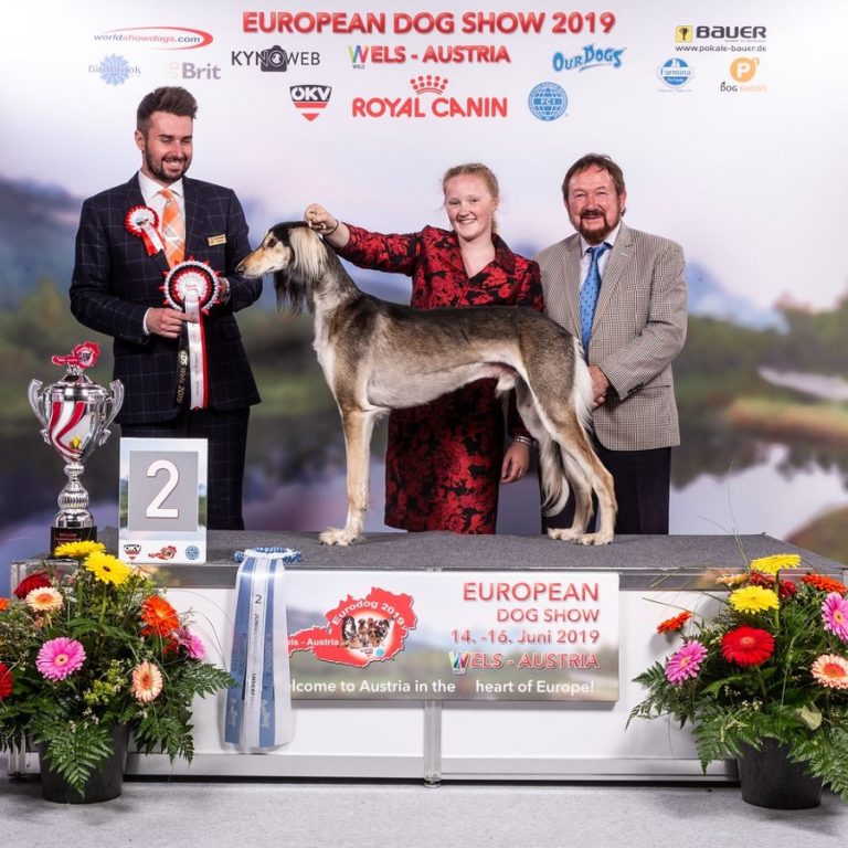 Junior Handlers final Austria The Irish Kennel Club