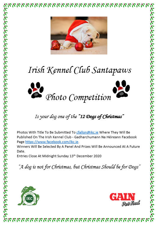 Irish Kennel Club Santapaws Photo Competition The Irish Kennel Club