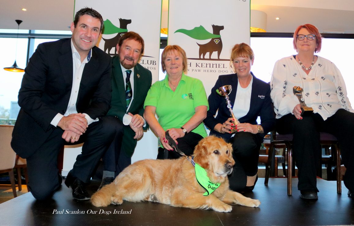 Golden Paw Hero Dog Overall Award Winner for 2022! The Irish Kennel Club