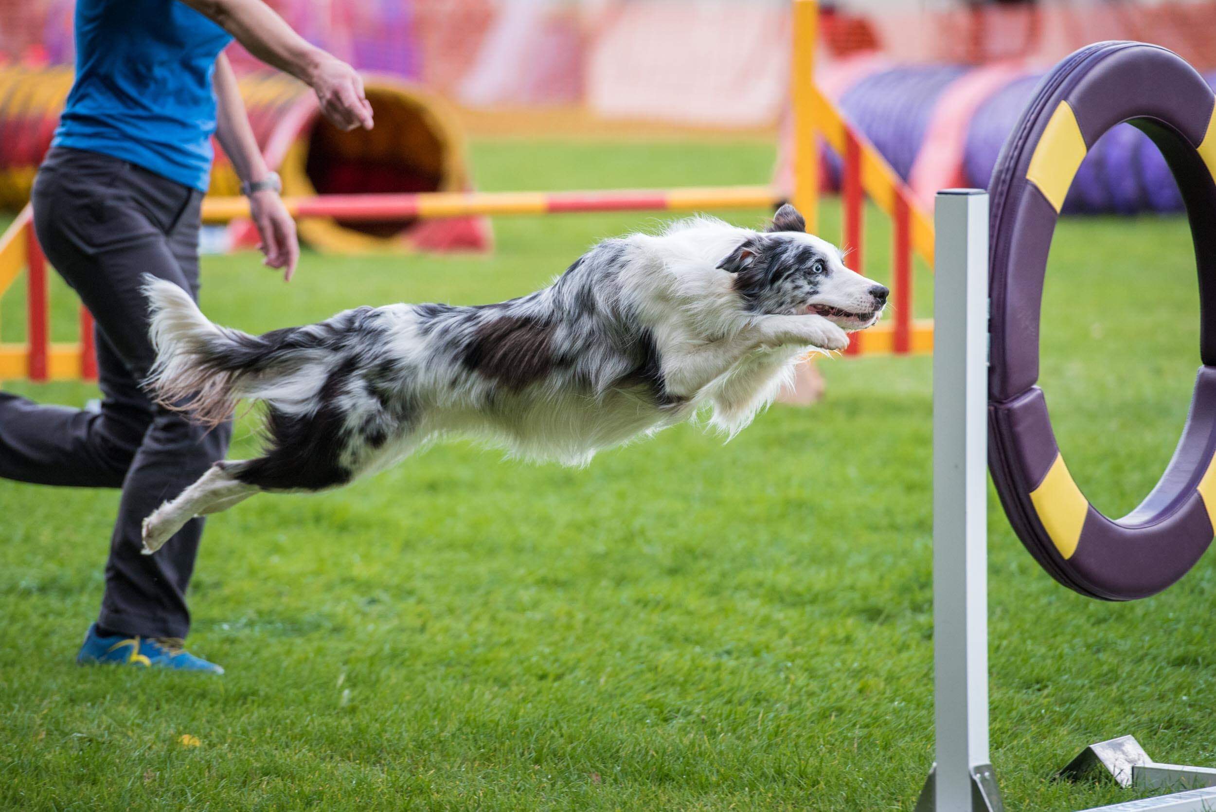 Agility